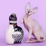 Мягкие, как пух, котята Эльф, бамбино, Двэльф, канадский сфинкс.